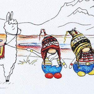 Illustration N°5 (Un air de Bolivie)